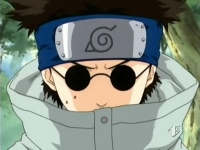 shino aburame